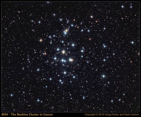 M44, lunga esposizione, Greg Parker e Noel Carboni